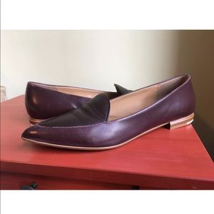 Everlane Modern Point Loafer